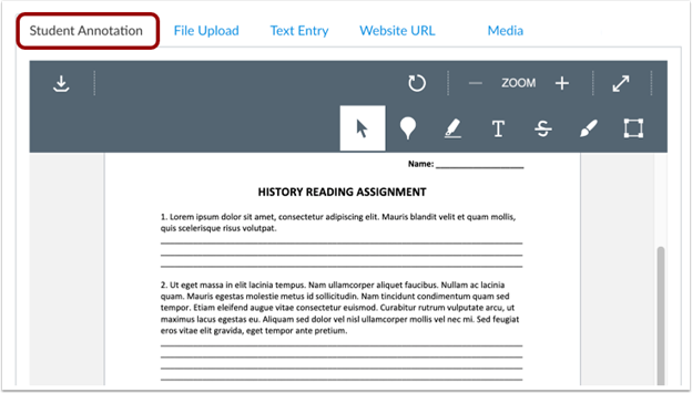 The Student Annotation tab on Canvas.