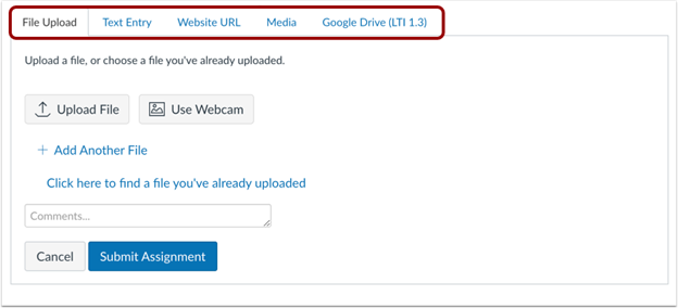 A Canvas file upload with available submission types