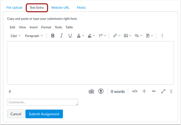 The Canvas text entry upload page.