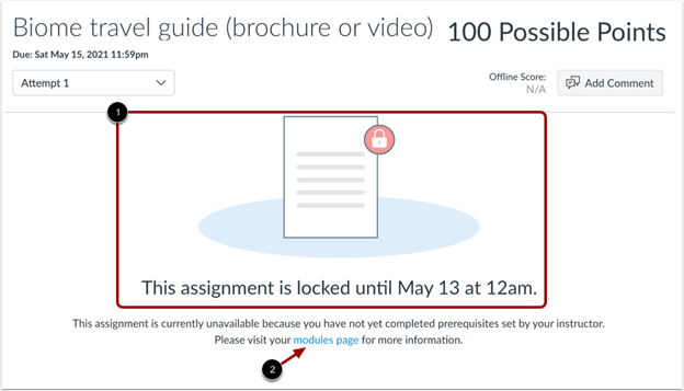A locked assignment on Canvas.