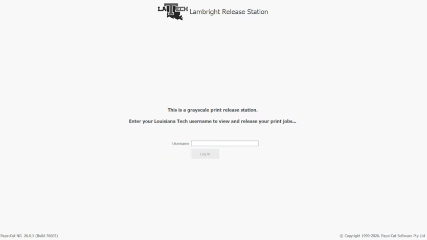 Print station with a gray screen