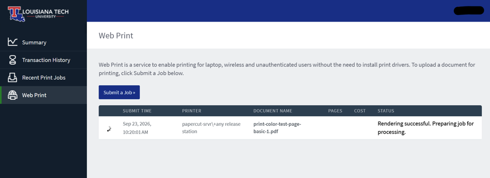 The print status page